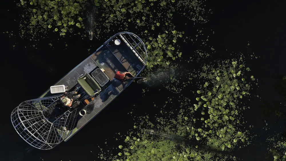 Grassrivers